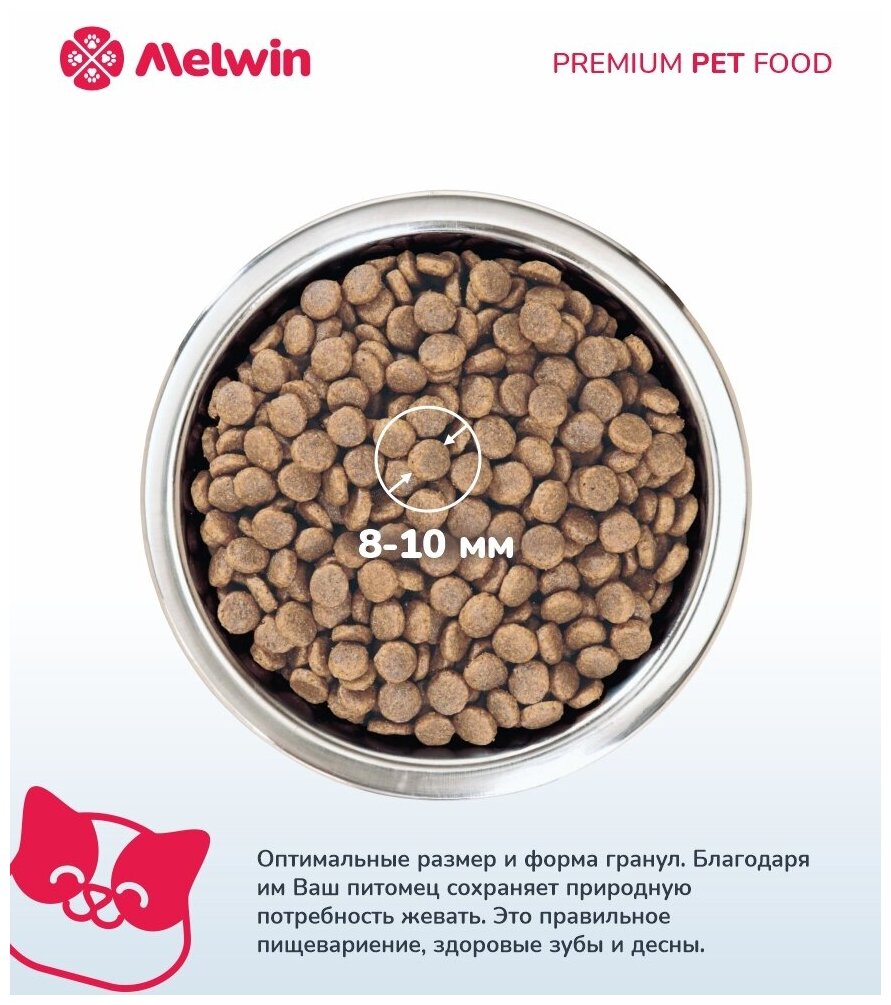 Корм сухой MELWIN для взрослых кошек всех пород старше 7 лет Мясо птицы Премиум 2,5 кг - фотография № 5