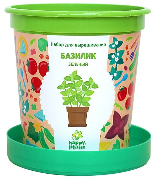 Набор, Happy Plant Горшок Базилик зеленый для выращивания (бантик) - фото №2