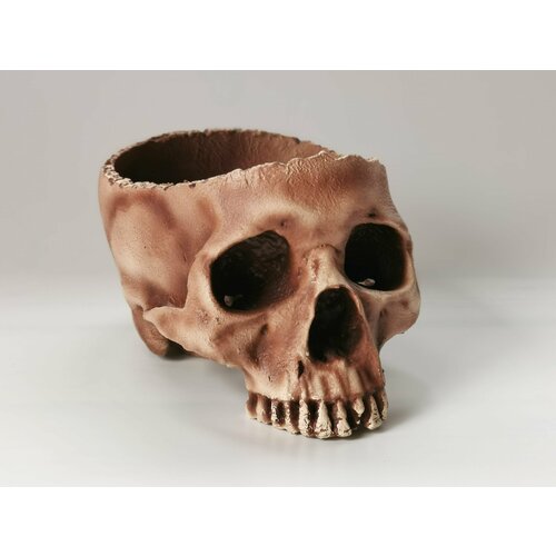 Чашка в виде черепа человека, чашка череп, кружка череп