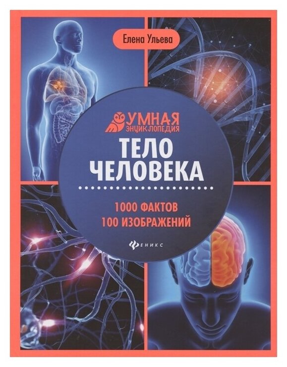 Тело человека: энциклопедия (Ульева Елена Александровна) - фото №1