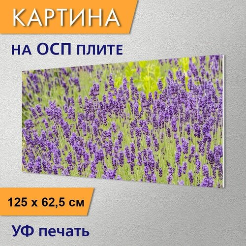 Горизонтальная картина 