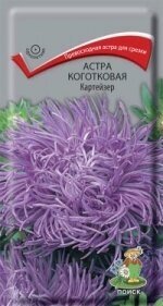 Астра коготковая Картейзер 03гр. (Поиск)