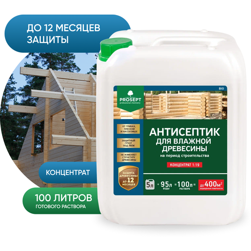 PROSEPT антисептик антисептик BiO 1:19, 1 кг, 1 л, бесцветный