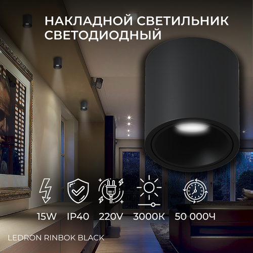 Накладной светодиодный светильник, спот Ledron RINBOK Black 15W 3000K