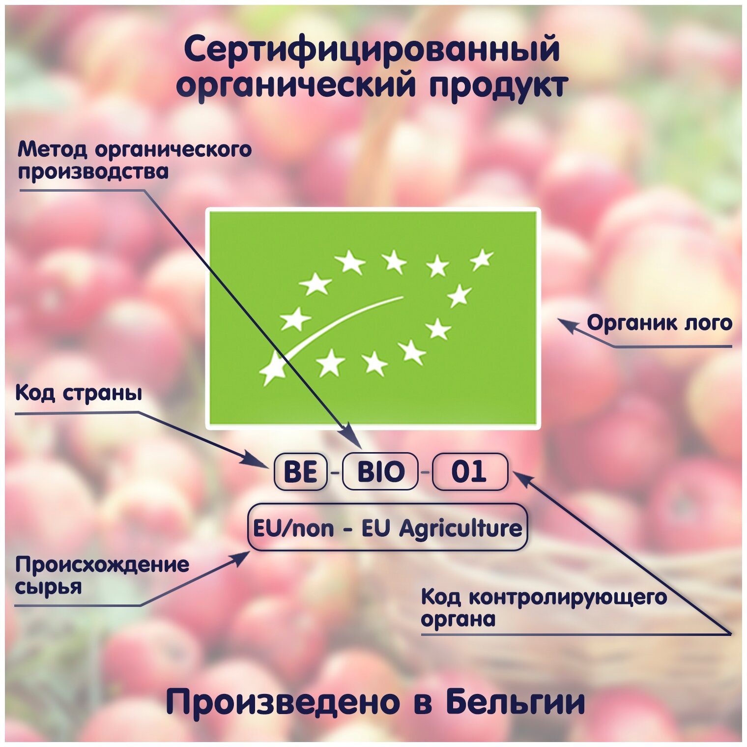 Печенье детское Fleur Alpine Овсяное с 9 месяцев, 120 г - фото №8