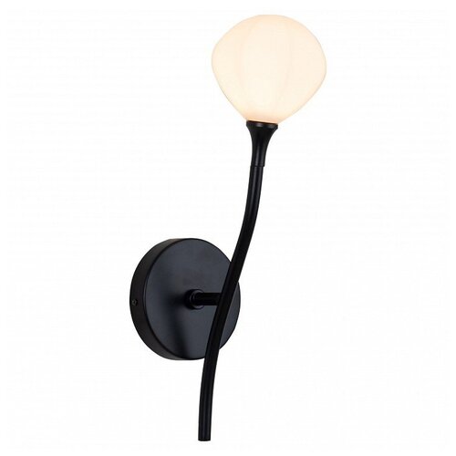 фото Бра favourite suri 2688-1w