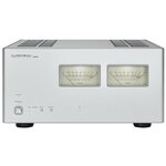 Усилитель мощности Luxman M-900u - изображение