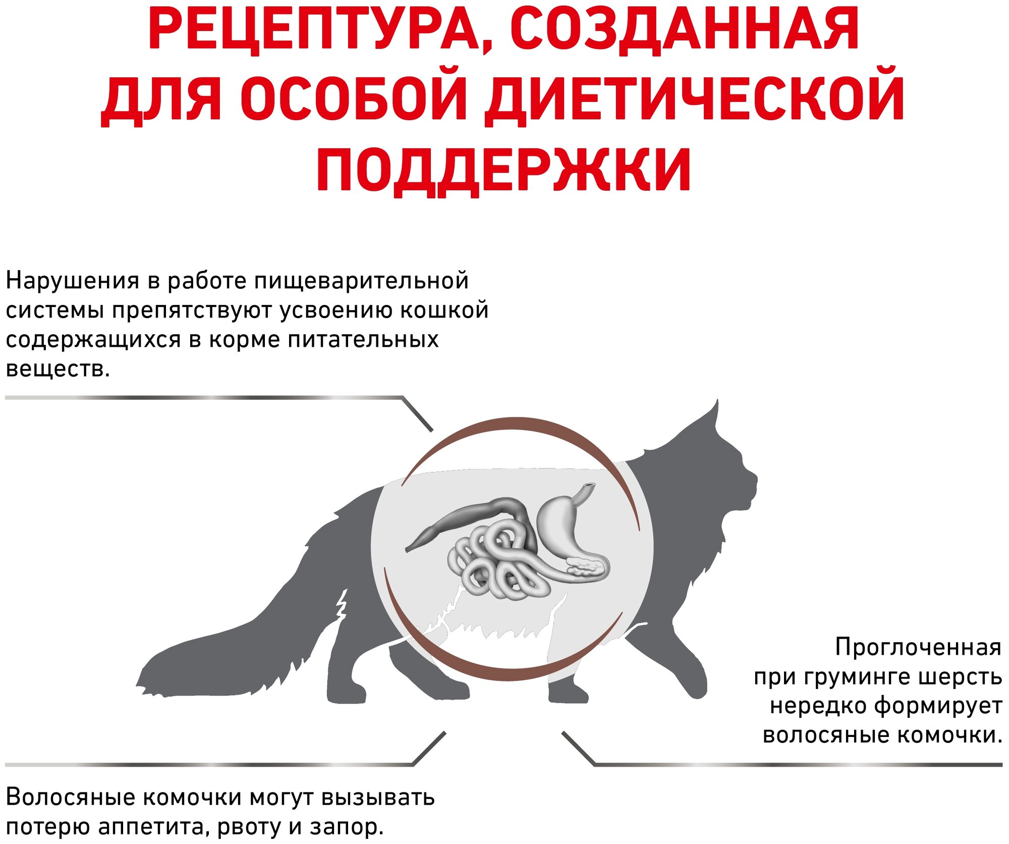 Royal Canin Gastrointestinal Hairball Корм для взрослых кошек при нарушениях пищеварения, сухой диетический, 0,4 кг - фотография № 2