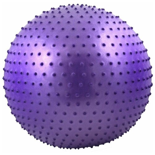 фото Fbm-65-4 мяч гимнастический anti-burst массажный 65 см (фиолетовый) hawk