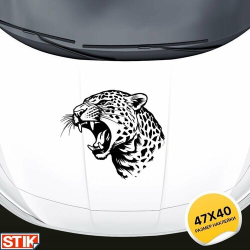 Наклейки на автомобиль большие 