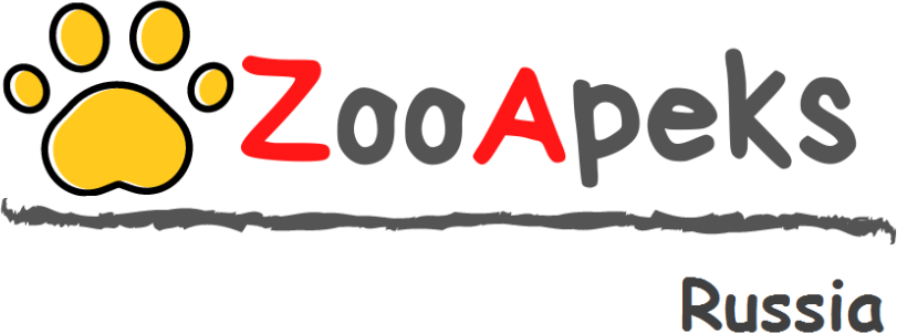 Лежак Софа №4 ZooApeks 100х70х30 см газета - фотография № 4