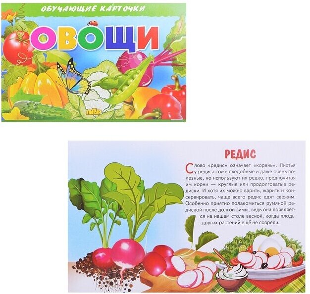 Обучающие карточки Литур Овощи (978-5-9780-1122-7)