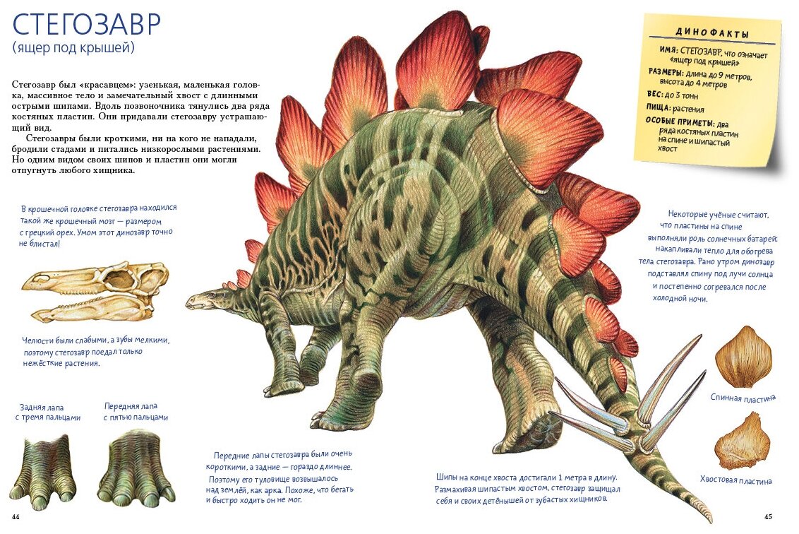 Такие разные динозавры: энциклопедия в картинках - фото №2