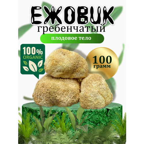 Ожидается изображения товара