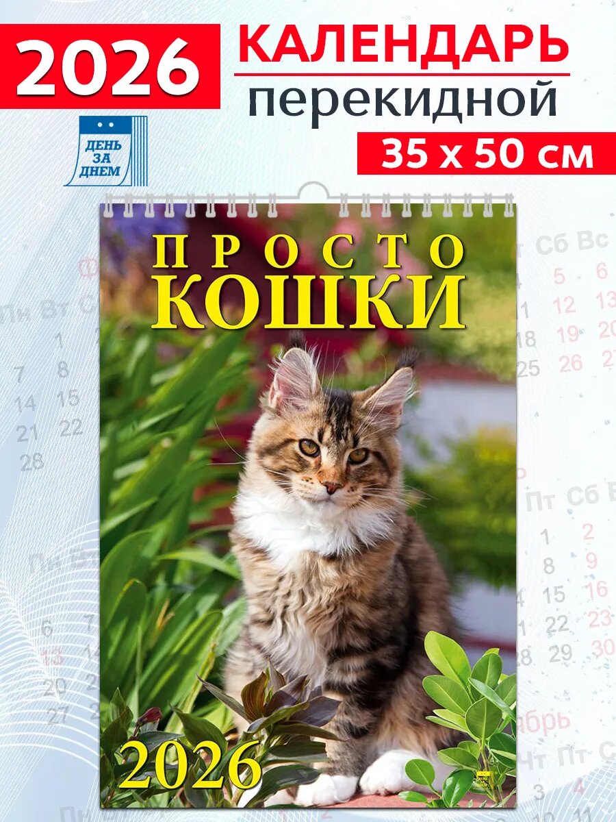 День за днем Календарь настенный на 2026 год "Просто кошки"