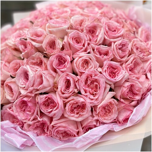 Букет из 81 пионовидной розы Pink O’Hara (Размер L)