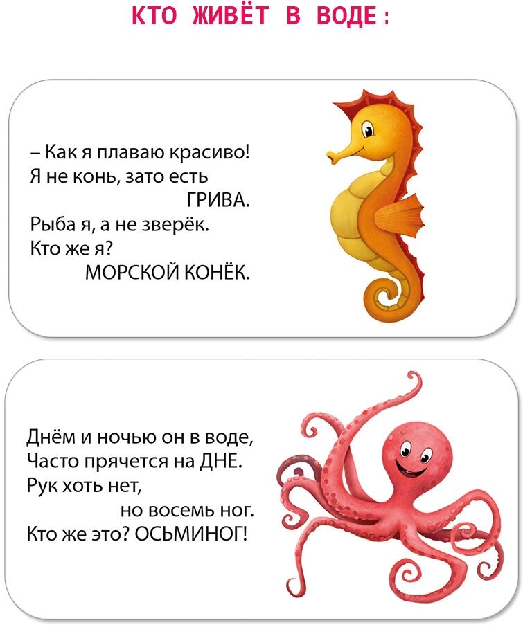 МИМИкнижки. Загадки-рифмы (Сосновский Евгений Анатольевич) - фото №3