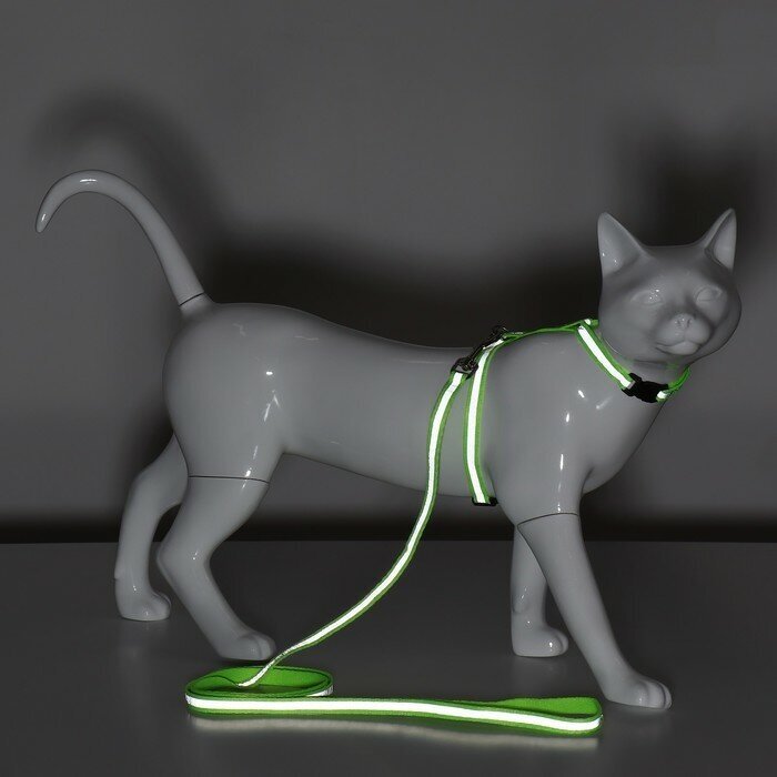 Комплект для кошек светоотражающий,ширина 1 см,шлейка 21-35 см,поводок 120 см, зелёный (1шт.) - фотография № 9