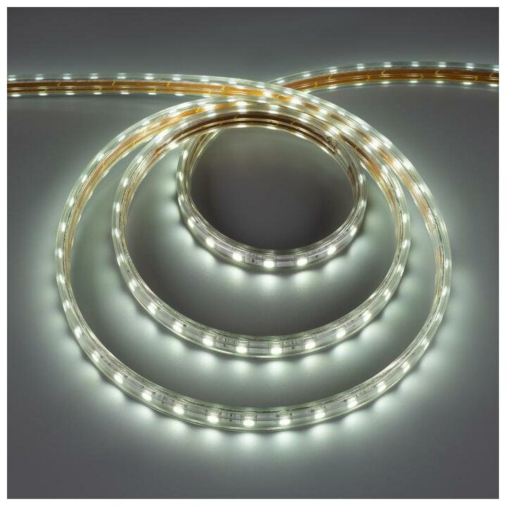 Светодиодная лента Ecola STD, 220В, SMD5050, 50 м, IP68, 14.4Вт/м, 60 LED/м, 6000К - фотография № 1