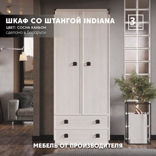 Шкаф индиана JSZF 2d2s 2978000₽