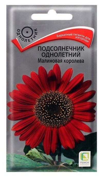 Семена цветов Подсолнечник однолетний "Малиновая королева", 0,5 г