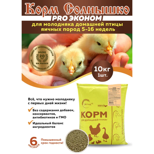 Корм Солнышко PRO Эконом для молодняка домашней птицы яичных пород 5-16 недель 10 кг