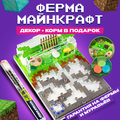 Муравьиная ферма Antcraft / формикарий для муравьев