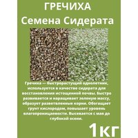 Семена Гречихи 1кг