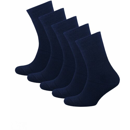 Носки STATUS, 5 пар, размер 25, синий носки гранд 5 пар размер 25 синий