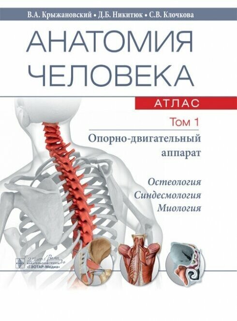 Анатомия человека. Атлас в 3-х томах. Том 1. Опорно-двигательный аппарат