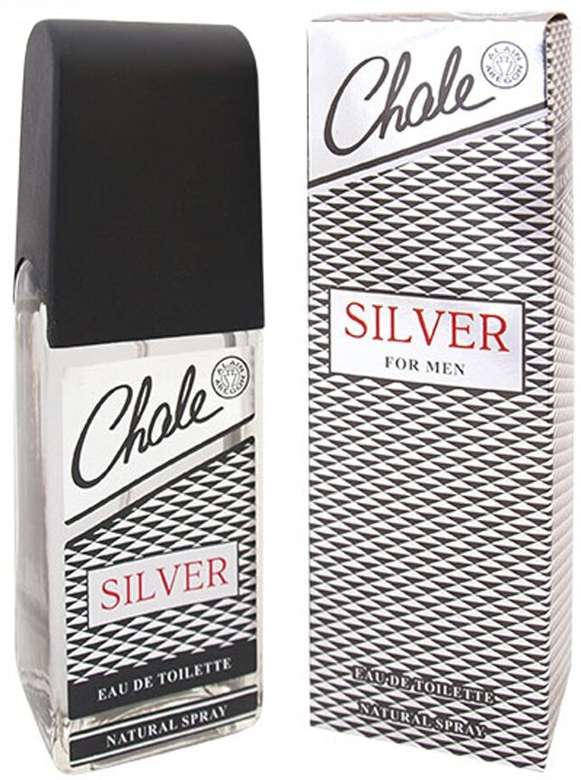 POSITIVE PARFUM Chale Silver Туалетная вода для мужчин 100 мл