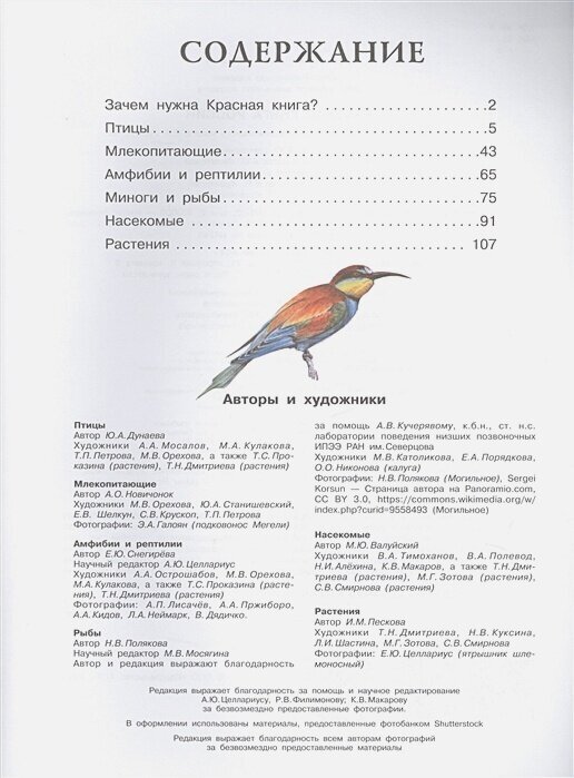 Красная книга России (Пескова И.М., Дунаева Ю.,Новичонок А., Полякова Н., Валуйский М., Снегирёва Е.) - фото №7