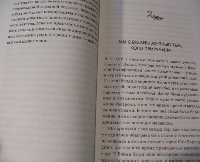 Сова по имени Уэсли. История любви совы и человека - фото №6