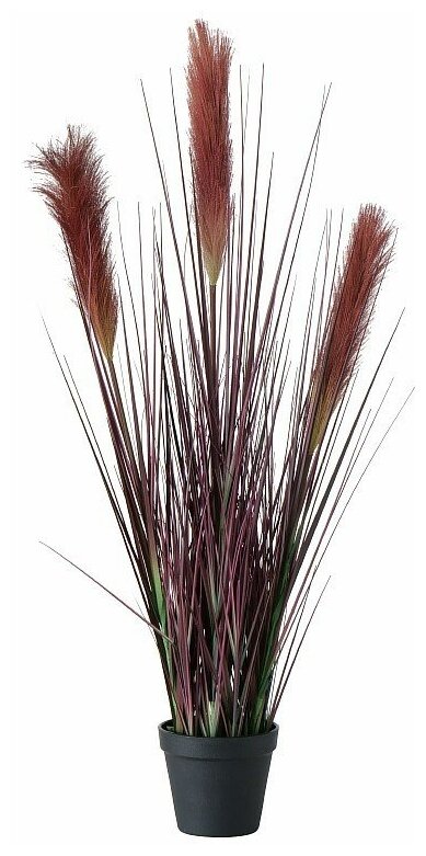 Искуственное растение в горшке Bristle Millet