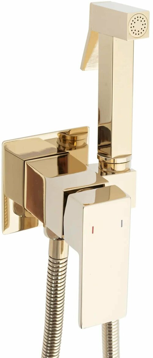Золотой смеситель для биде Rea с гигиеническим душем Fenix REA-B5771, встраиваемый