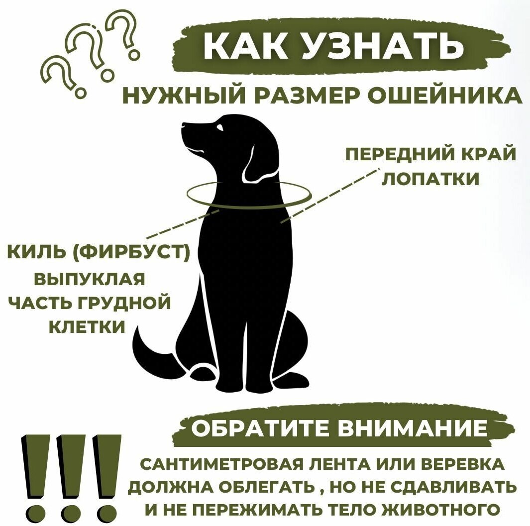 Ошейник для собак брезентовый, Обхват 42-55см, Длина 64см, Ширина 30мм - фотография № 5