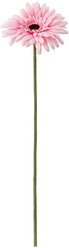 SMYCKA смикка цветок искусственный 50 см Гербера/розовый