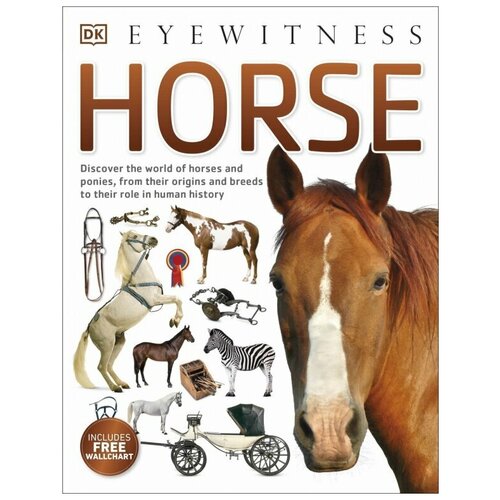Horse. Eyewitness