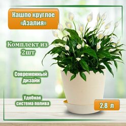 Кашпо круглое Азалия для цветов с поддоном светлый беж 2,8л, комплект 2шт