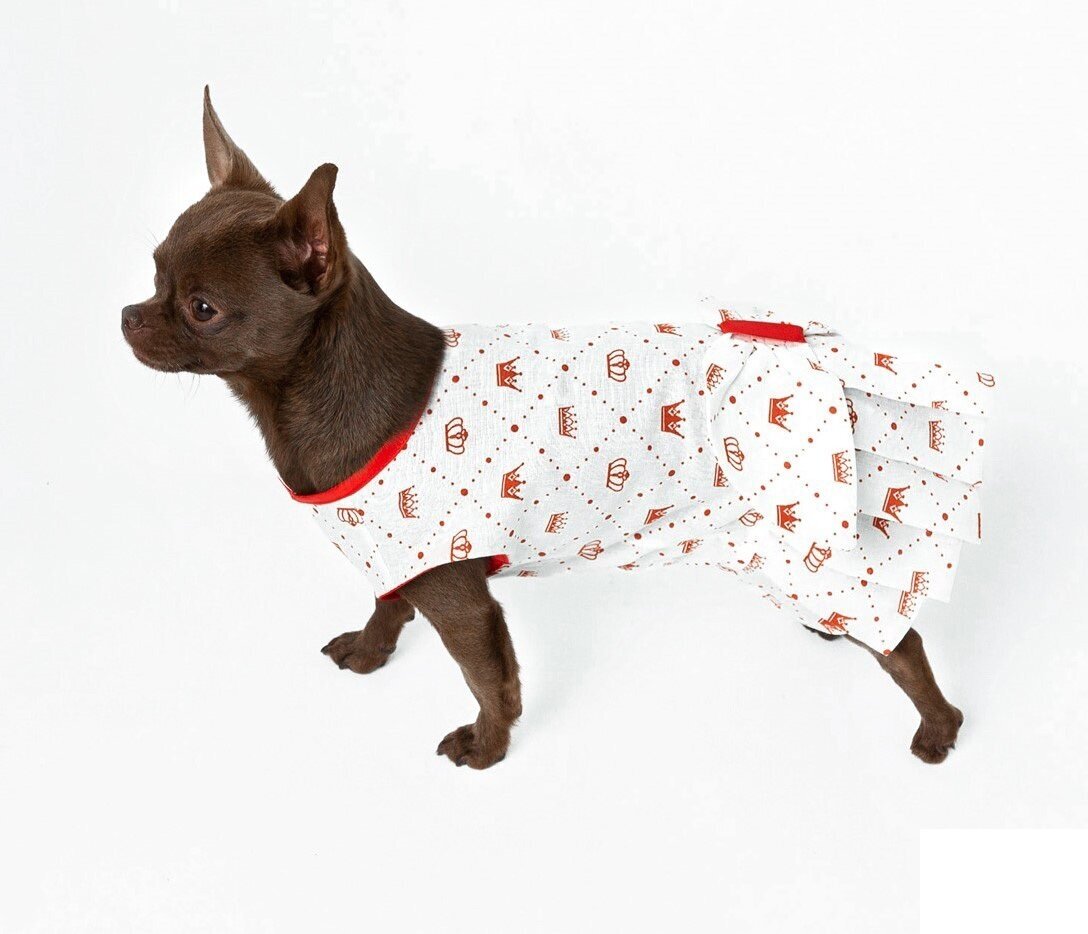 Платье для собак Dogs Bomba короны (30см девочка)