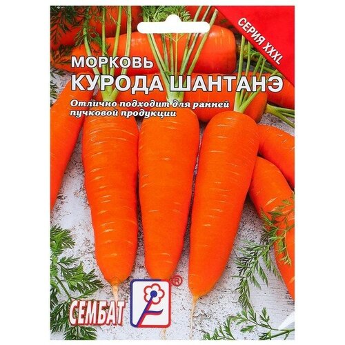 Семена ХХХL Морковь Курода Шантанэ, 10 г