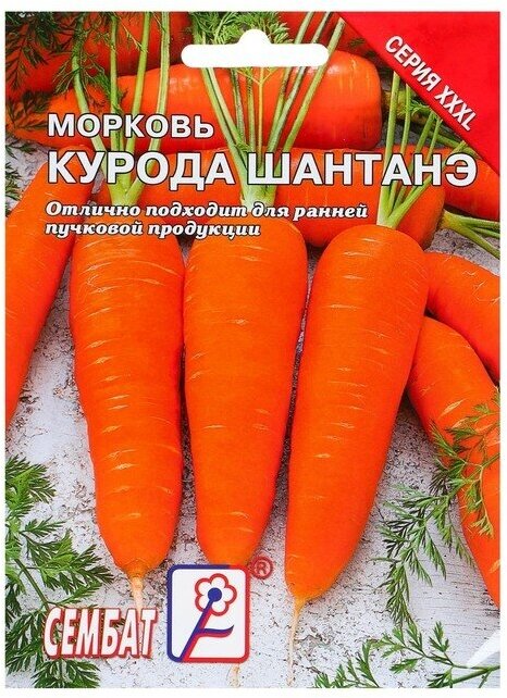 Сембат Семена ХХХL Морковь "Курода Шантанэ", 10 г