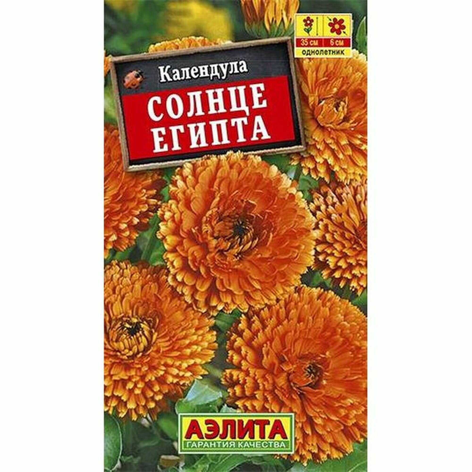 Семена Календула Солнце Египта махровая однолетник Аэлита 1 пачка - 0.5г семян