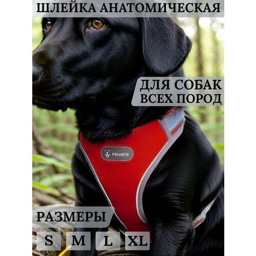 Анатомическая шлейка для собак Mirestra прогулочная светоотражающая