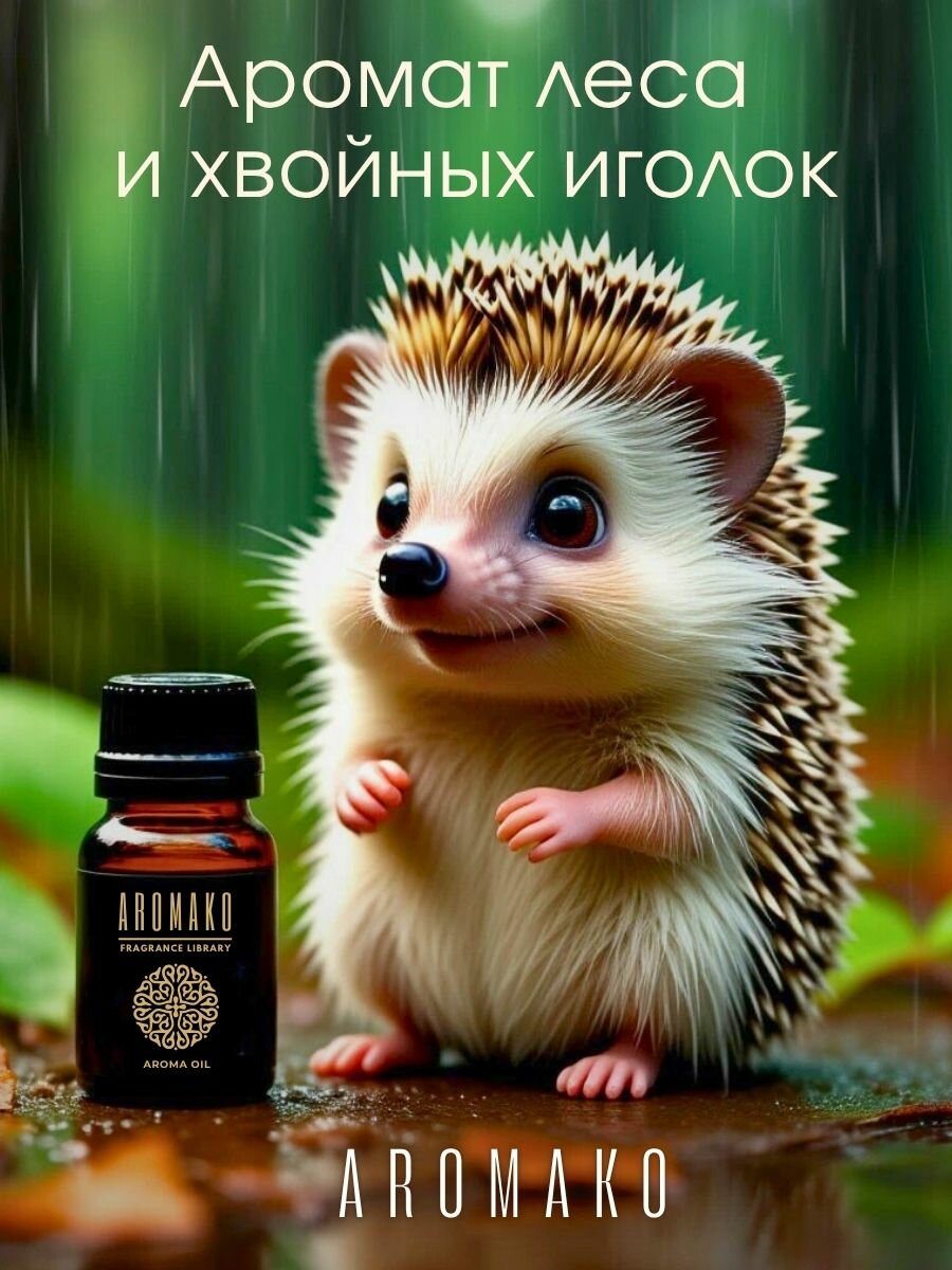 Ароматическое масло AROMAKo "Лес после дождя" , для ароматерапии, 15мл — фото 1
