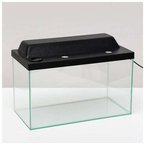 Террариум 37 л с крышкой черный 5851₽