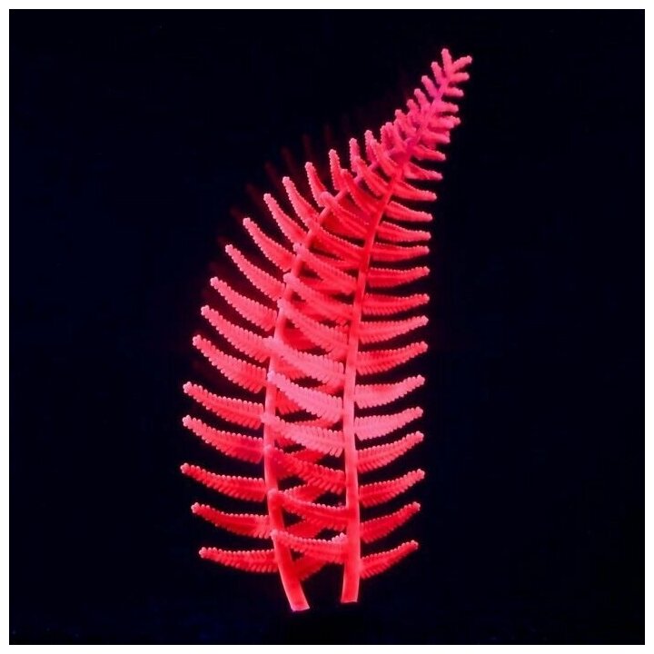 Растение силиконовое аквариумное, светящееся в темноте, 8 х 23 см, розовое, 1 шт. - фотография № 2