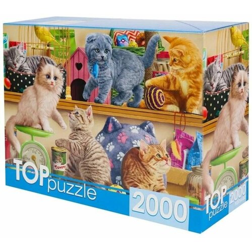 пазлы рыжий кот konigspuzzle котята в зоомагазине 1500 элементов Пазлы Рыжий кот 2000 элементов, TOPpuzzle, Смешные котята в зоомагазине (ХТП2000-1596)