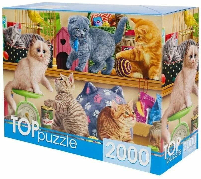 TOPpuzzle-2000 "Смешные котята" (ХТП2000-1596) Рыжий кот - фото №1