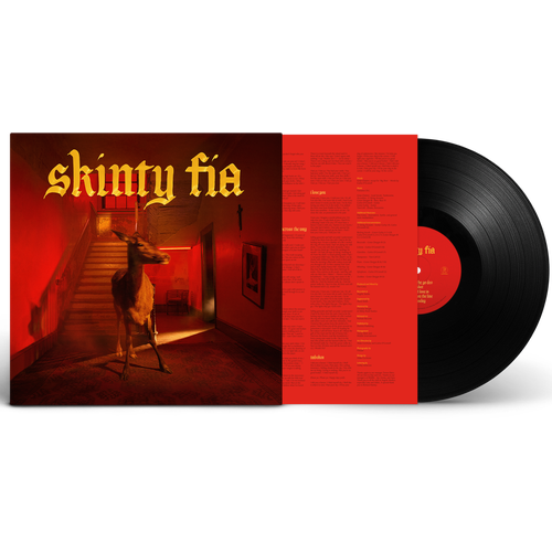 Виниловая пластинка Fontaines D.C. – Skinty Fia [LP] / новая, запечатана